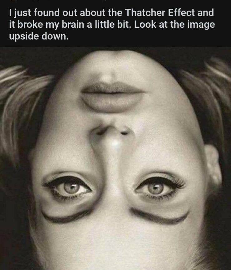 random funny and wtf pics - I just found out about the Thatcher Effect and it broke my brain a little bit. Look at the image upside down.