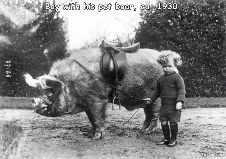 dain ironfoot memes - Boy with his pet boar, ca. 1930 39126 Rire en boite
