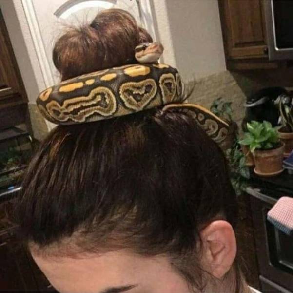 random pics - snake hair accessories