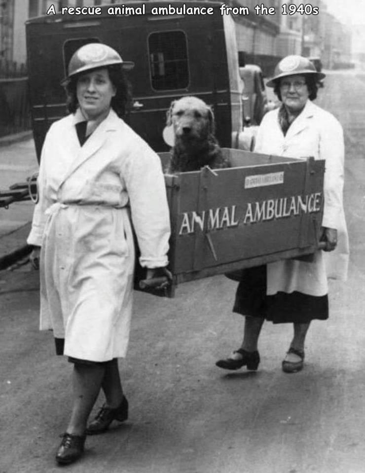 random pics - animal ambulance ww2 - A rescue animal ambulance from the 1940s An Mal Ambulance
