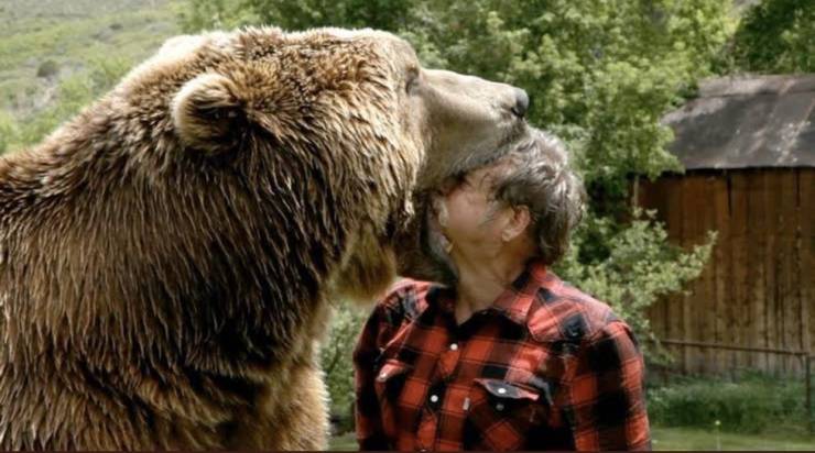 fun killer pics - funny photos - man fights bear