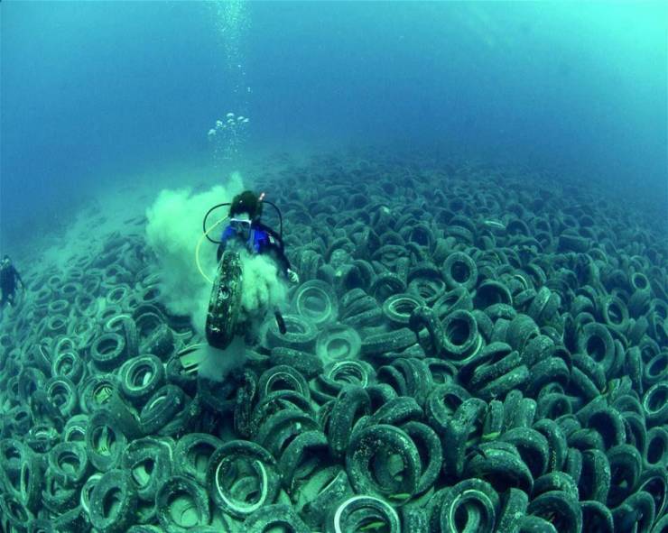 fun killer pics - funny photos - tyres in the ocean