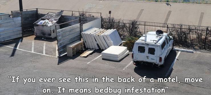 car - If you ever see this in the back of a motel, move on. It means bedbug infestation"