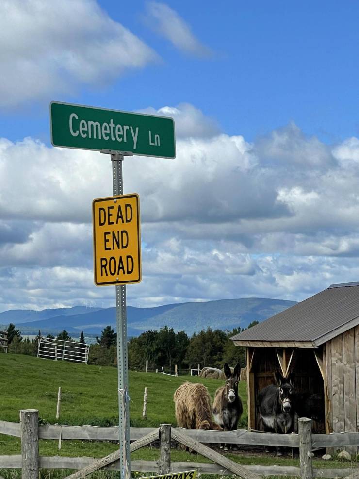 road - Cemetery Ln Dead End Road