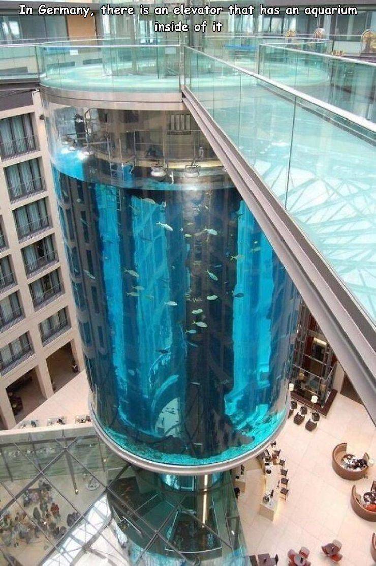 aquarium buildings - In Germany, there is an elevator that has an aquarium inside of it