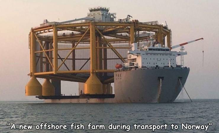 funny and cool pics - salmar offshore fish farm - Ni "A new offshore fish farm during transport to Norway"
