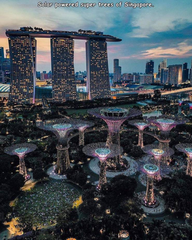 gardens by the bay - Solar powered super trees of Singapore. Gbebe Lll