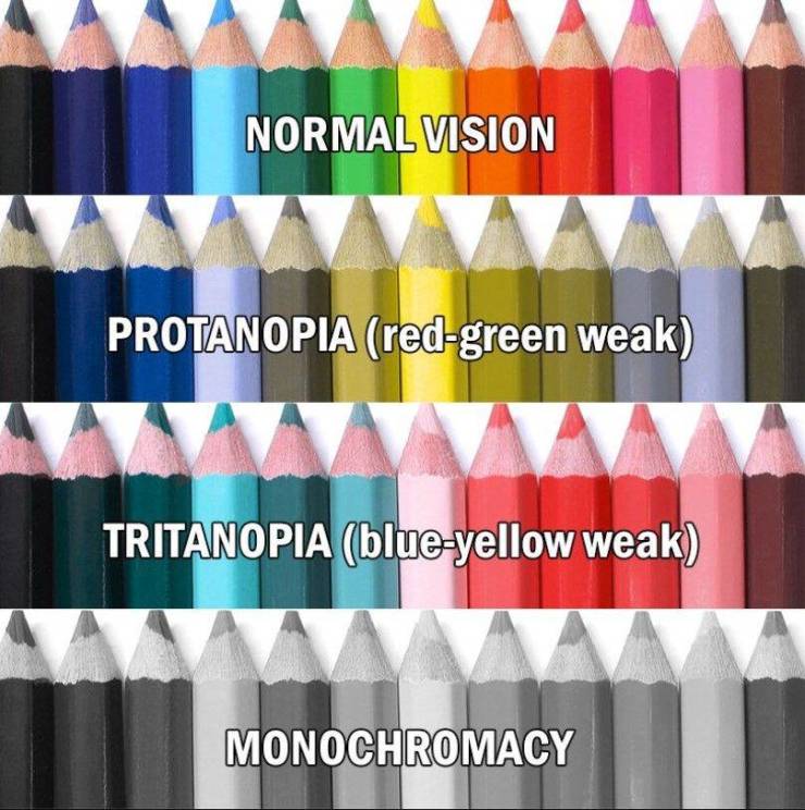 funny photos - do colorblind people see - Normal Vision Protanopia redgreen weak Tritanopia blueyellow weak Va Monochromacy
