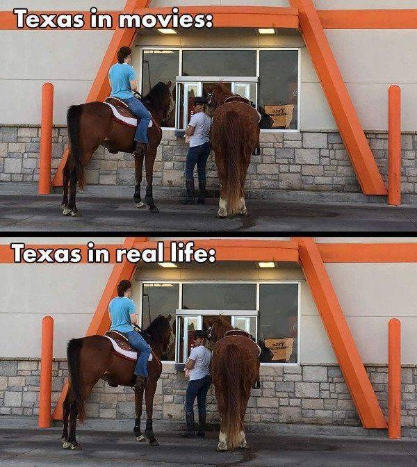 funny photos - horse supplies - Texas in movies Texas in real life
