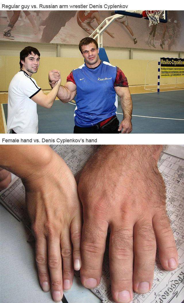 denis cyplenkov hands - Regular guy vs. Russian arm wrestler Denis Cyplenkov Chce kep Female hand vs. Denis Cyplenkov's hand S Kpoggrop 10 cm
