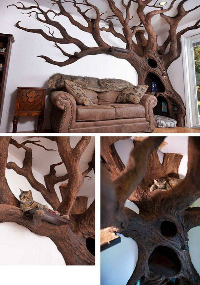 funny pics - cat tree room