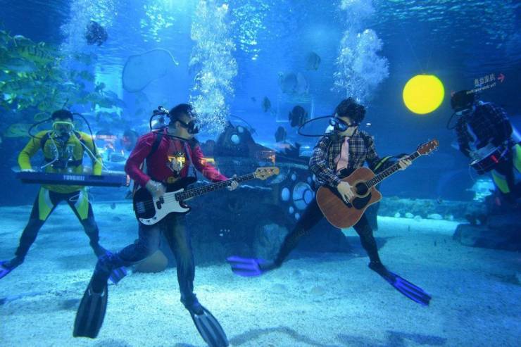 funny images - music underwater