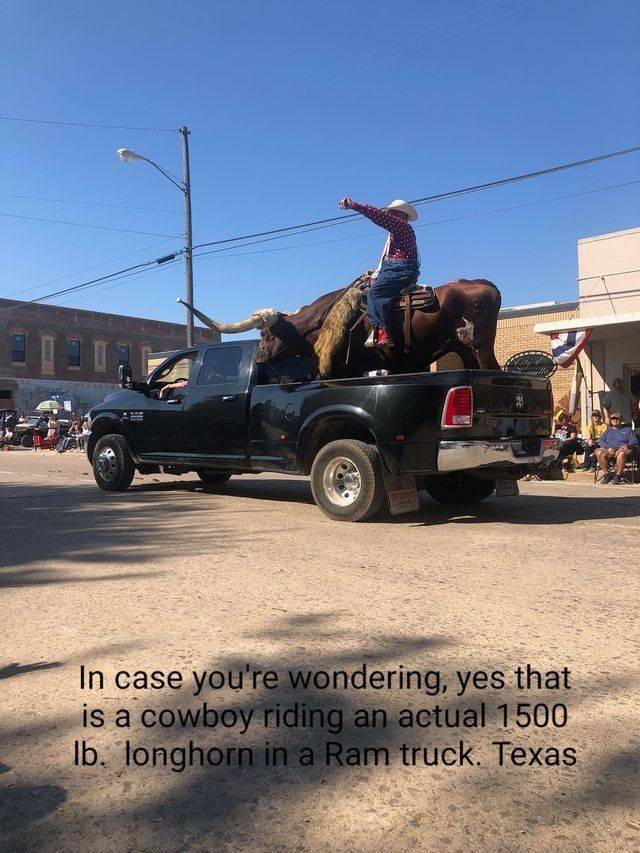 asphalt - In case you're wondering, yes that is a cowboy riding an actual 1500 Ib. longhorn in a Ram truck. Texas