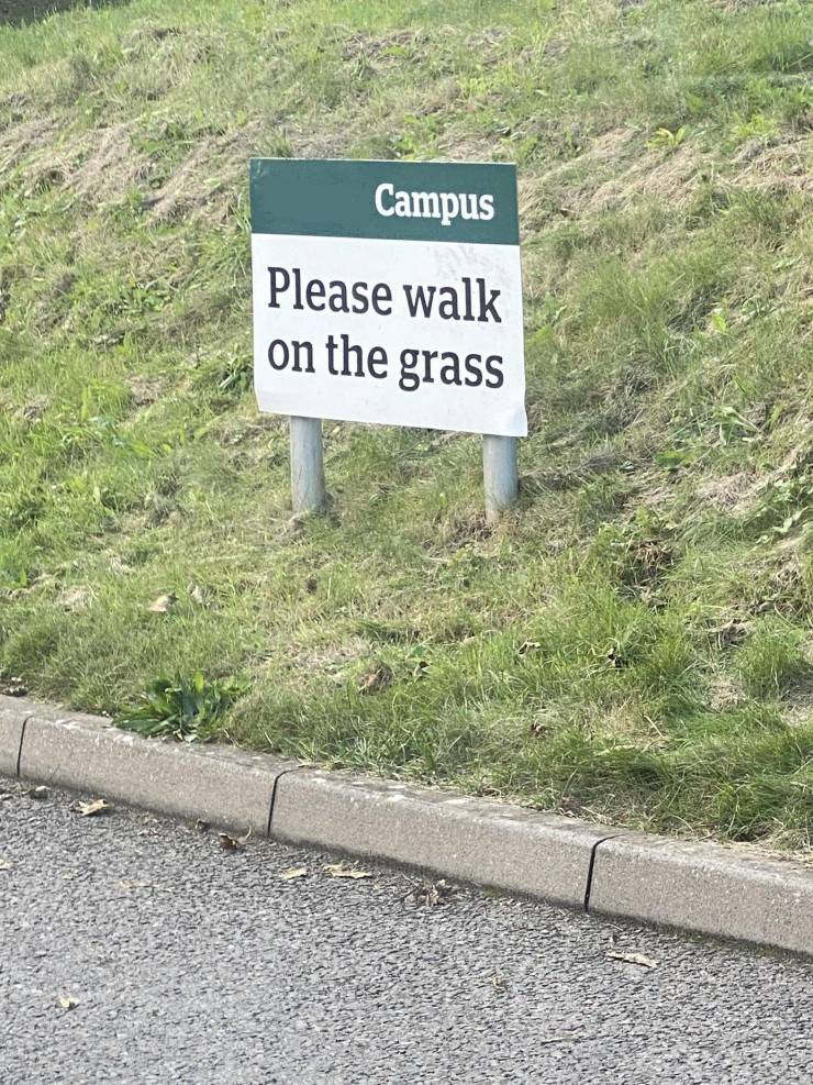 funny photos - fun pics - grass - Campus Please walk on the grass