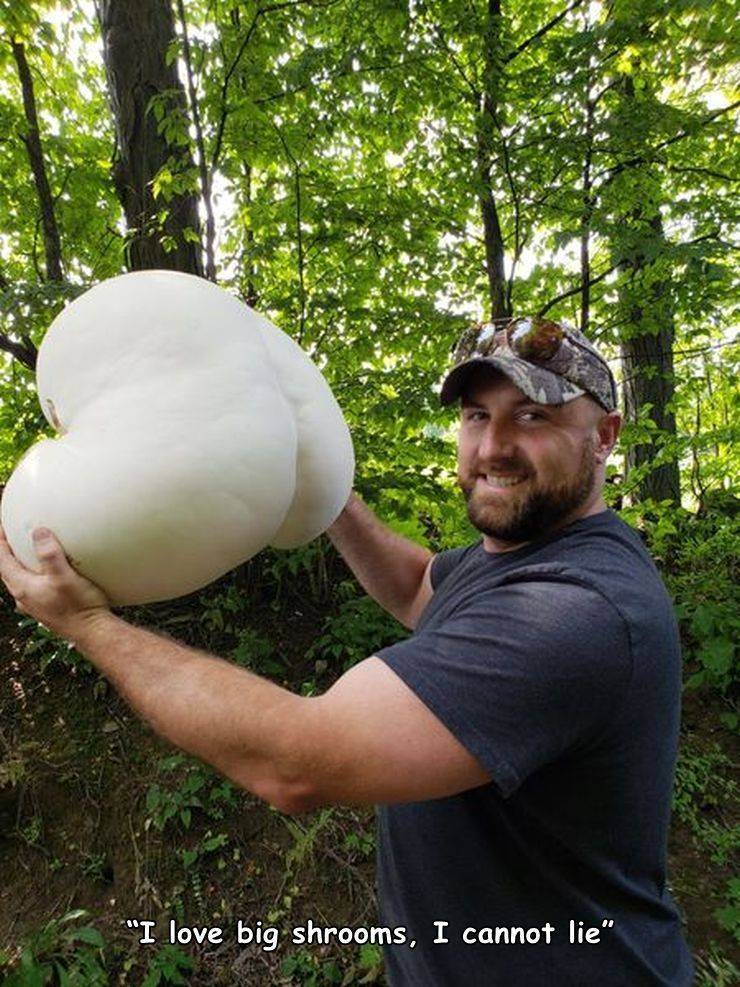 funny photos - fun pics - upstate ny mushrooms - "I love big shrooms, I cannot lie"