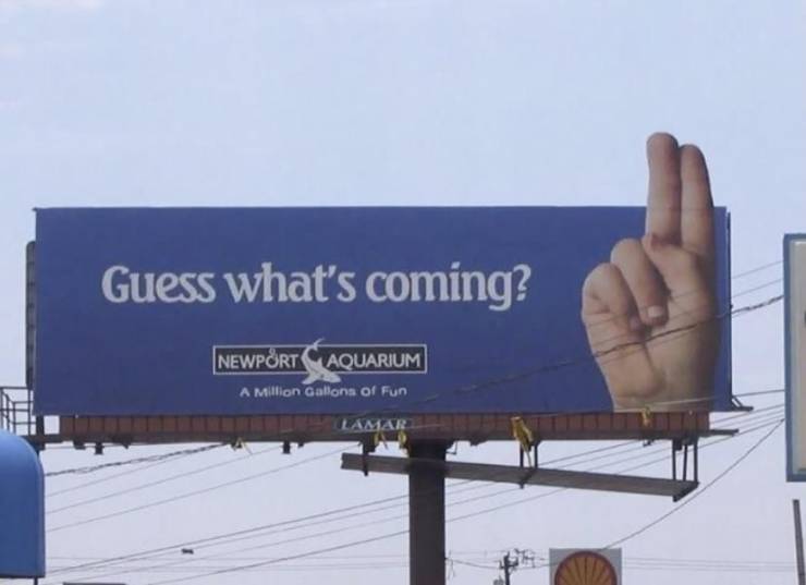 funny photos - hilarious - guess what's coming newport aquarium - Guess what's coming? Newport Aquarium A Million Gallons of Fun Lamar