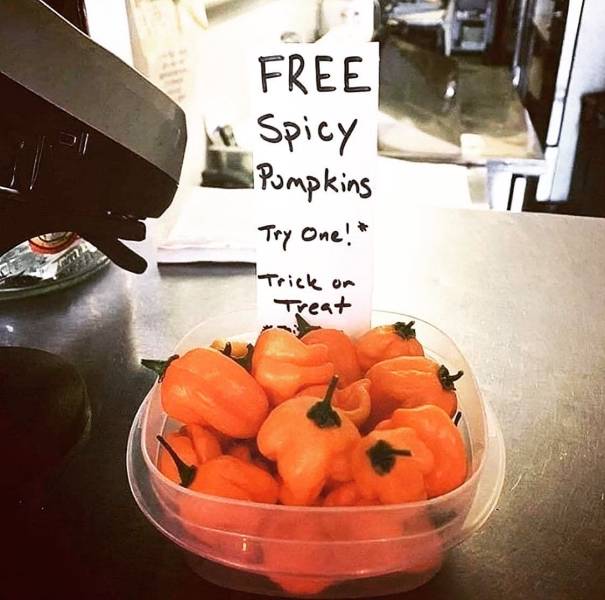 cool random pics - spicy pumpkins - Free Spicy Pompkins Try One! "Trick on Treat