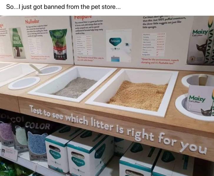 So...I just got banned from the pet store... Nullodor Fellpure Careers dan has fout 100% puffed etern, the clever let at just Sitges Maizy Colle Pine Langic Proute Vvn Gews for the Maizy Cetter Test to see which litter is right for you Corcol Color no 110
