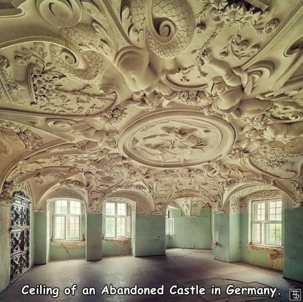 abandoned castles in germany - Ca Ceiling of an Abandoned Castle in Germany. E