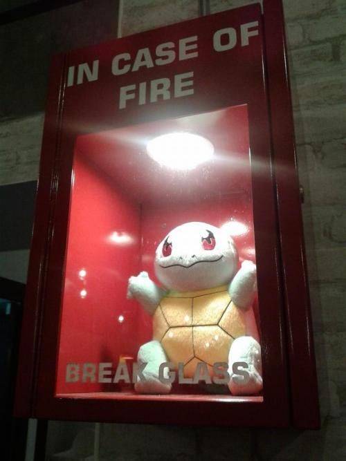 squirtle memes pokemon - In Case Of Fire Break Class