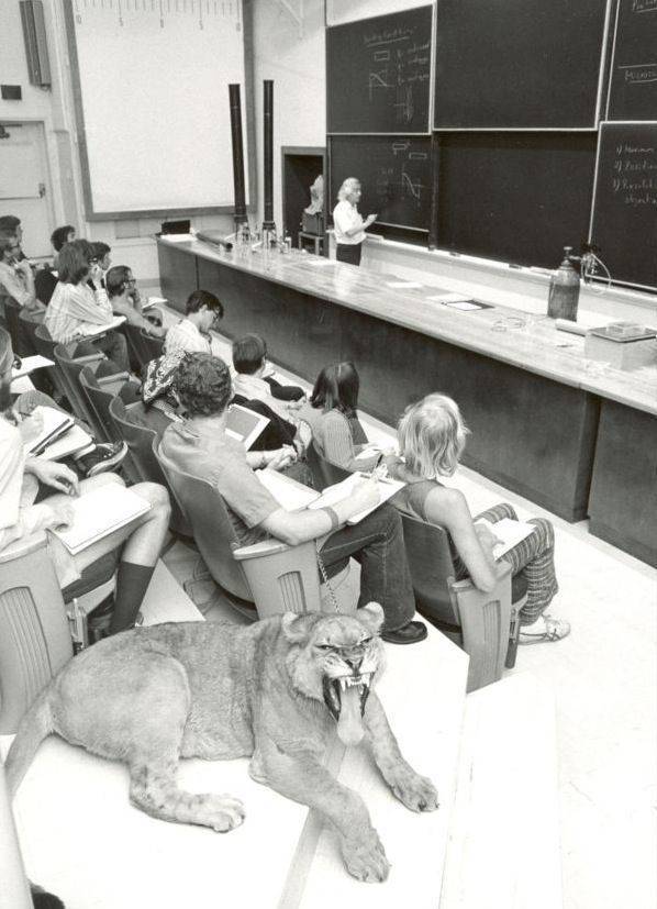 cool random pics - bring your pet to school day real - ier voll