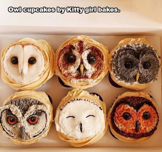 kitty girl bakes - Owl cupcakes by Kitty girl bakes.