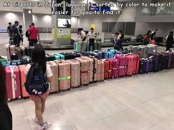 funny pics - cool randoms - japan airport baggage carousel - At airports in Japan. luggage is sorted by color to make it leasier for you to find it.