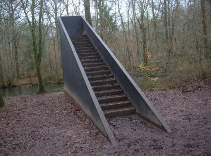 funny pics - fun randoms - stairs in the woods
