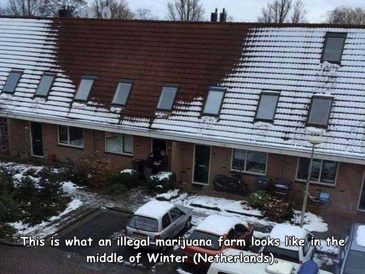 funny pics - growing weed snow roof - This is what an illegalmarijuana farm looks in the middle of Winter Netherlands.