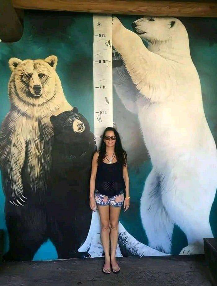 fun randoms - funny photos - polar bear compared to human