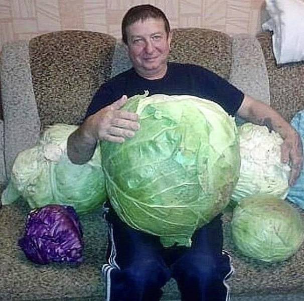 cool photos - images - fun pics - biggest head of lettuce