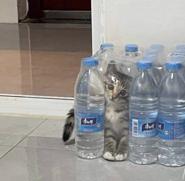 funny photos - fun randoms - bottled water - mes