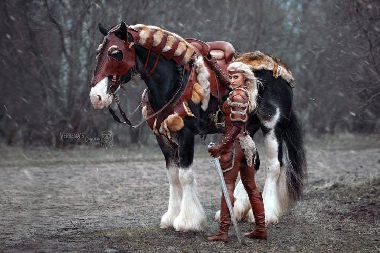fun randoms - horse harness - Verbena'S Dream