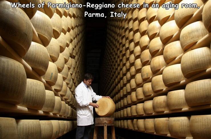 cool random pics - cheese caves - Wheels of ParmigianoReggiano cheese in an aging room, Parma, Italy