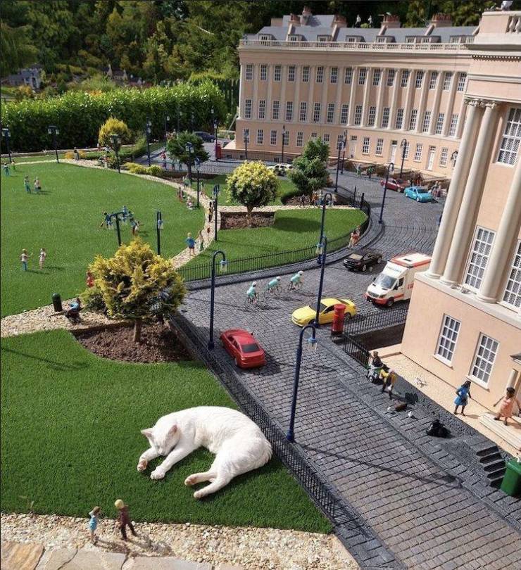 cat napping in a model village - 11 Mt Eee m2 See Tee Esse Les mm Si Tlat