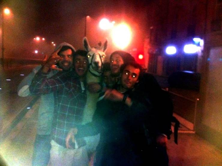 cool funny and wtf random pics - drunk guys llama - 6