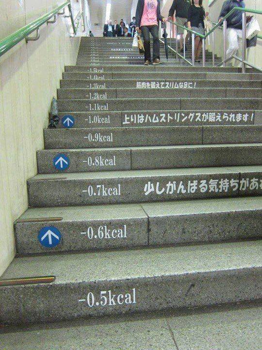 cool funny and wtf random pics - nudging stairs - 15ked keal cal cal cal cal ! cal cal cal cal cal