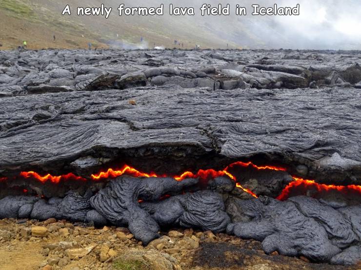 lava - A newly formed lava field in Iceland