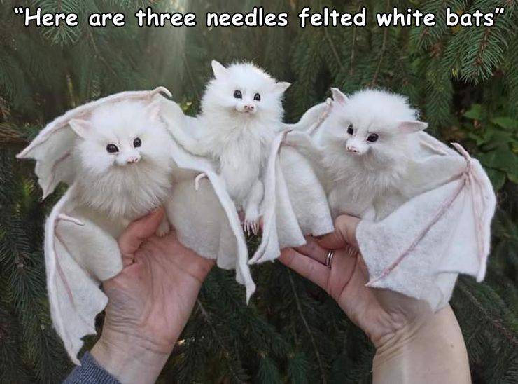 felted white bat - "Here are three needles felted white bats"