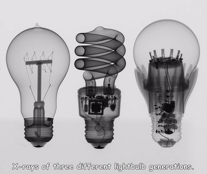 Xrays of three different lightbulb generations.
