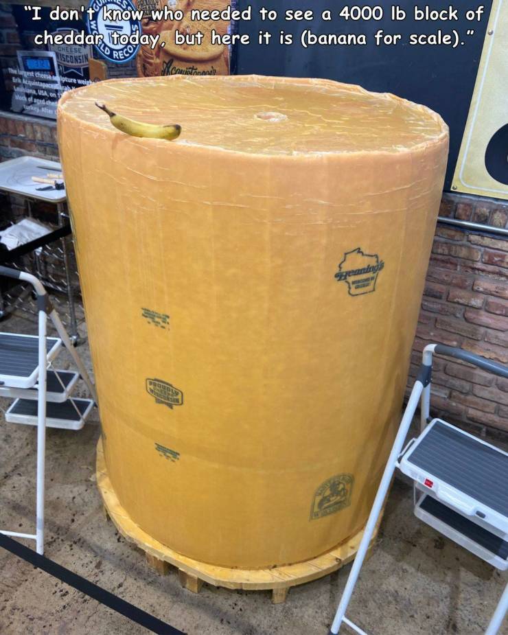 cylinder - "I don't know who needed to see a 4000 lb block of cheddar today, but here it is banana for scale." Visconsin The largest helpture weig Usa, Wed pends pen