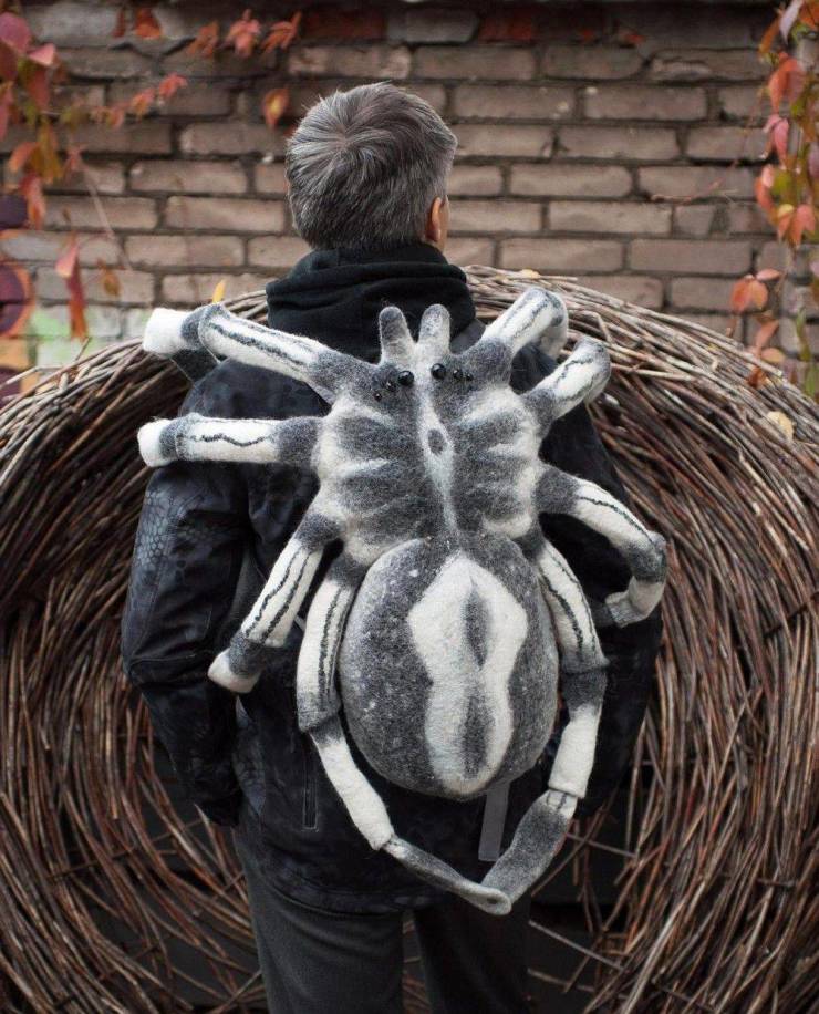 funny random photos - spider backpack