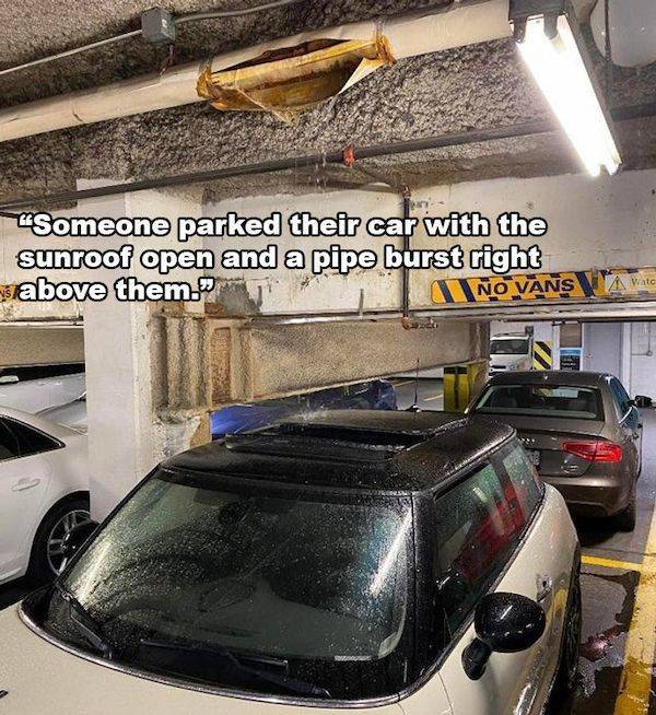 actas de nacimiento de juego - "Someone parked their car with the sunroof open and a pipe burst right above them. No Vans Watc