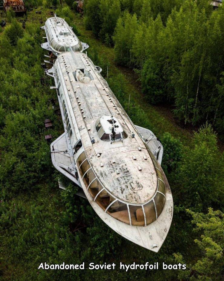 plant community - . . Ris Abandoned Soviet hydrofoil boats