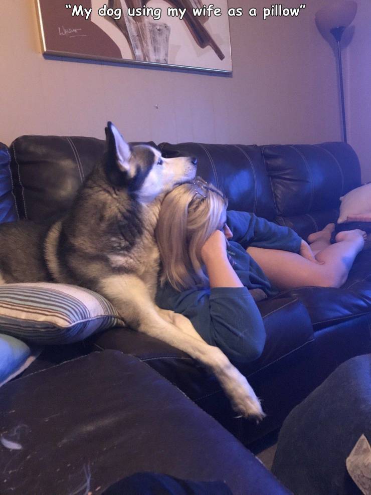 girl - "My dog using my wife as a pillow"