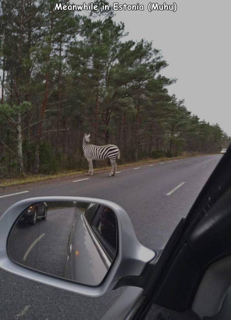 lane - Meanwhile in Estonia Muhu