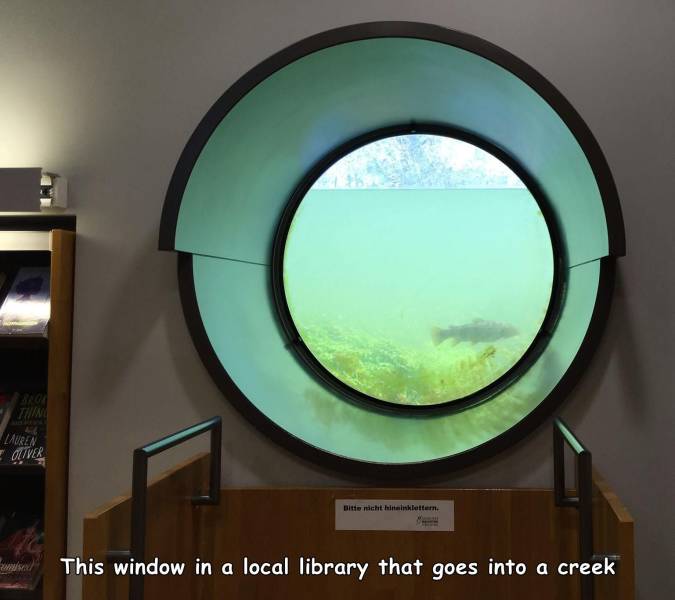 funny random pics - glass - Bag Th Lauren Oliver Bitte nicht hininklettem. This window in a local library that goes into a creek