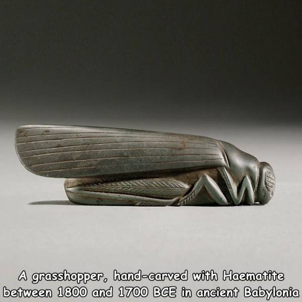 random pics - babylonian stone weight in the shape of grasshopper - A grasshopper, handcarved with Haematite between 1800 and 1700 Bce in ancient Babylonia