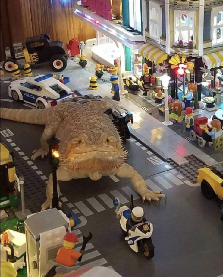 random pics - lizard in lego city