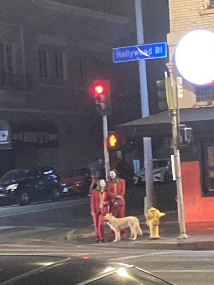 funny randoms - joker couple walking dog